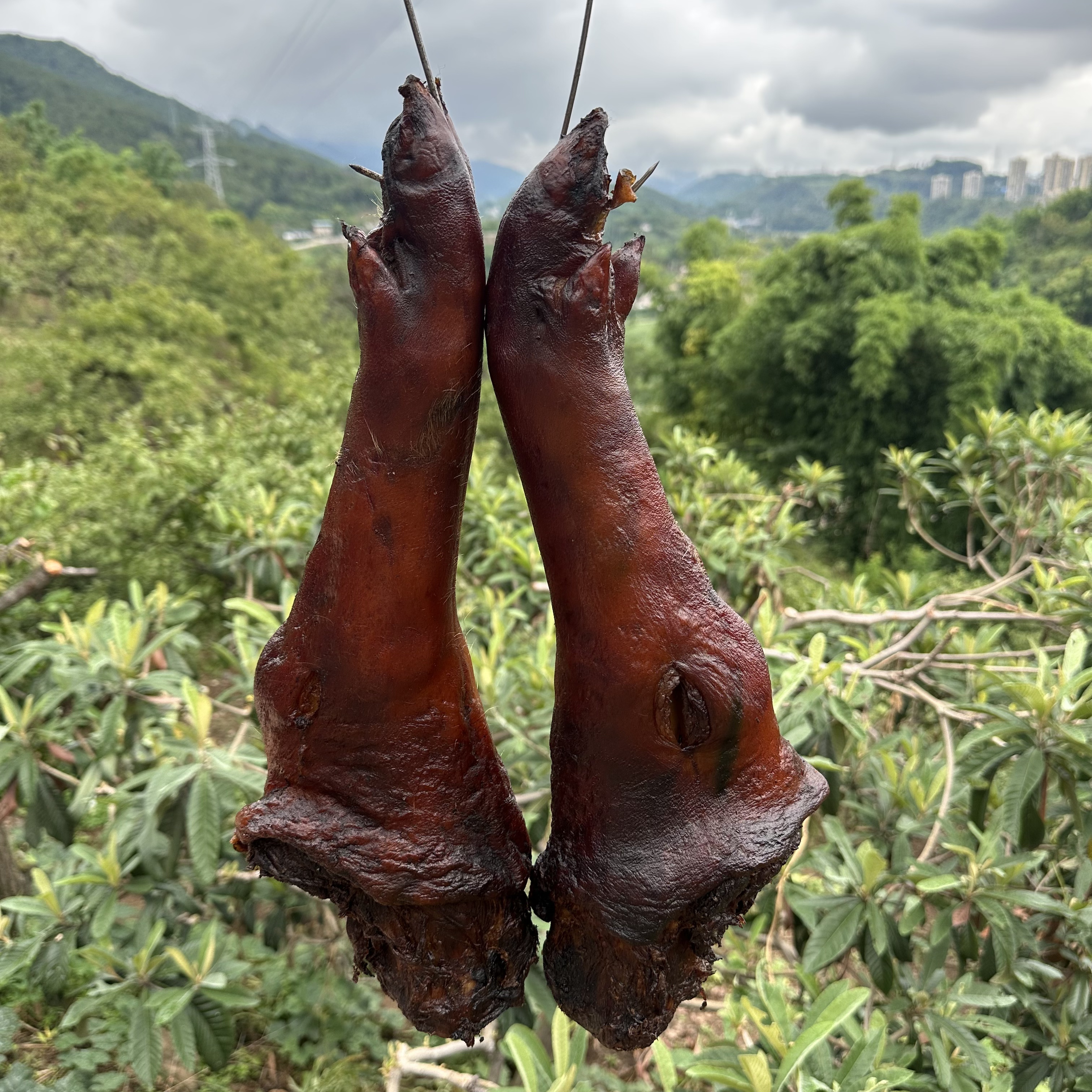 【鹿鹿】川渝特产农家柴火烟熏腊猪脚