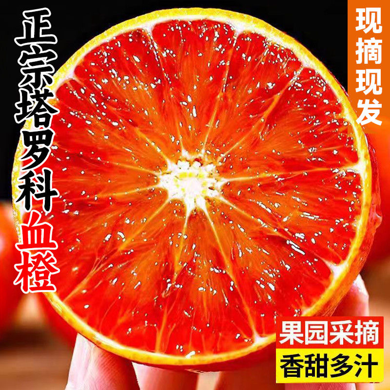 正宗塔罗科血橙当季新鲜水果多汁香甜包邮带箱3斤现摘现发fy