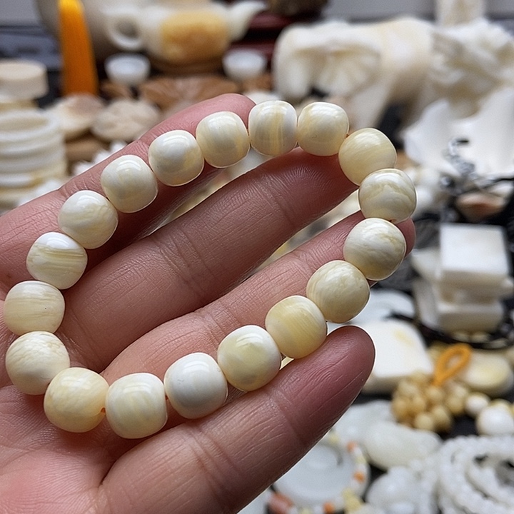 非金属贝壳蜜蜡色老型全品