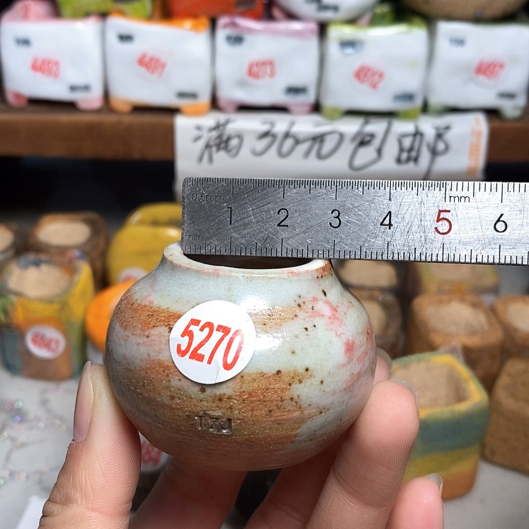 红陶拍5送一个小