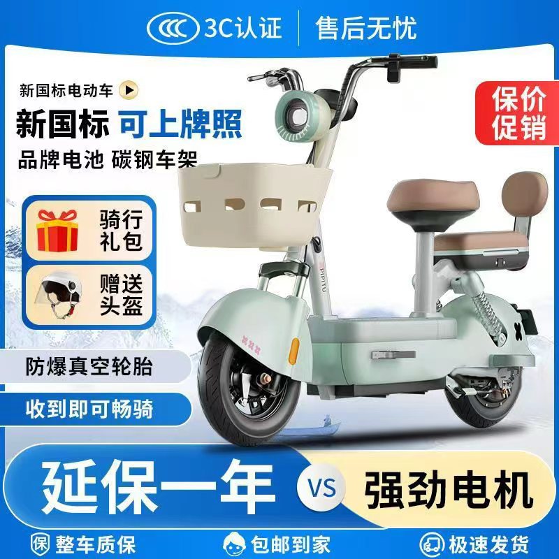 新国标电动车男女生适用元宇宙电动自行车48V电动两轮车锂电池