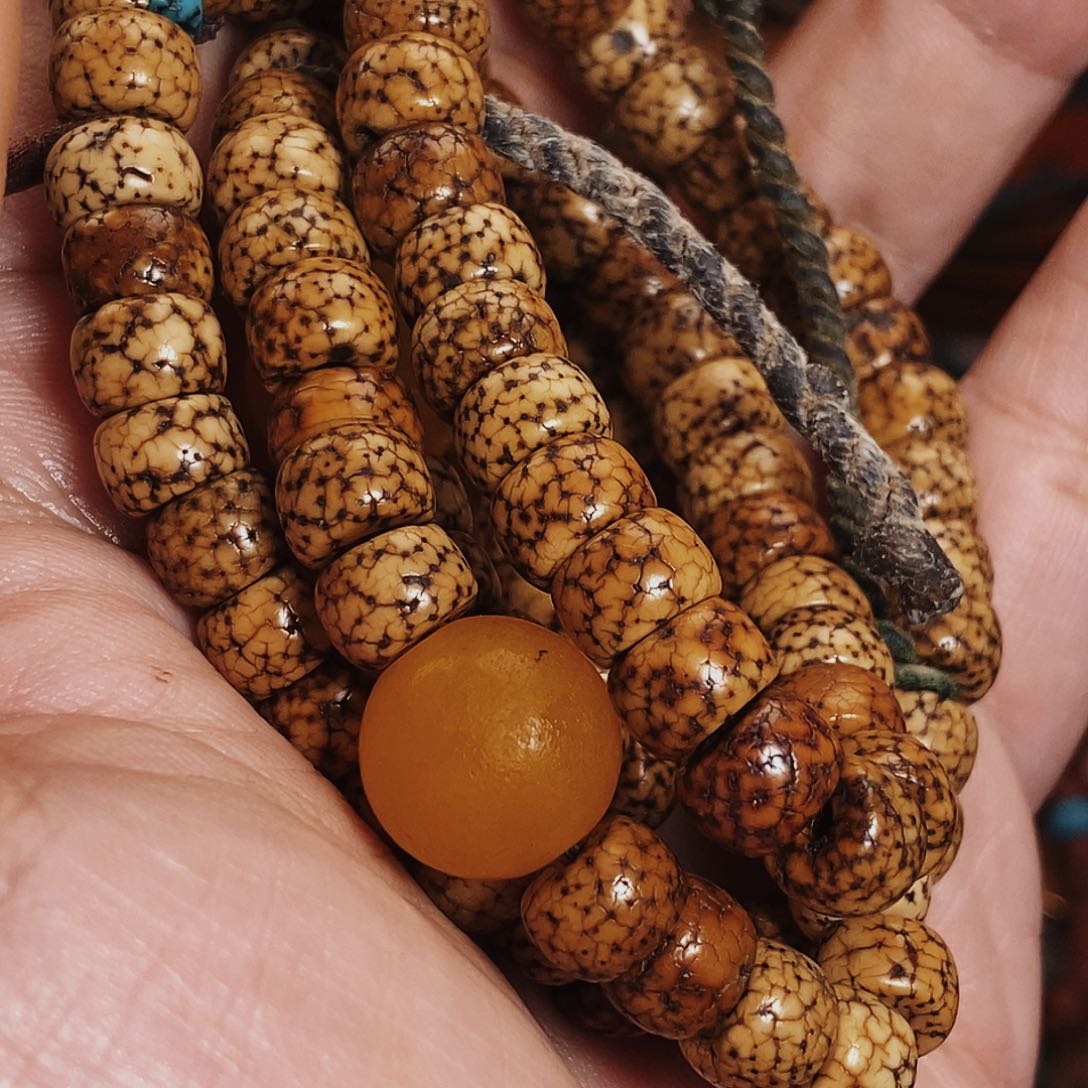 啊啊啊啊啊啊啊啊啊啊啊啊啊