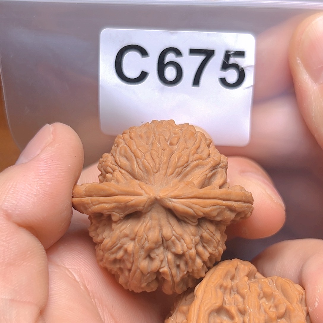 文玩核桃吊坠42白狮子