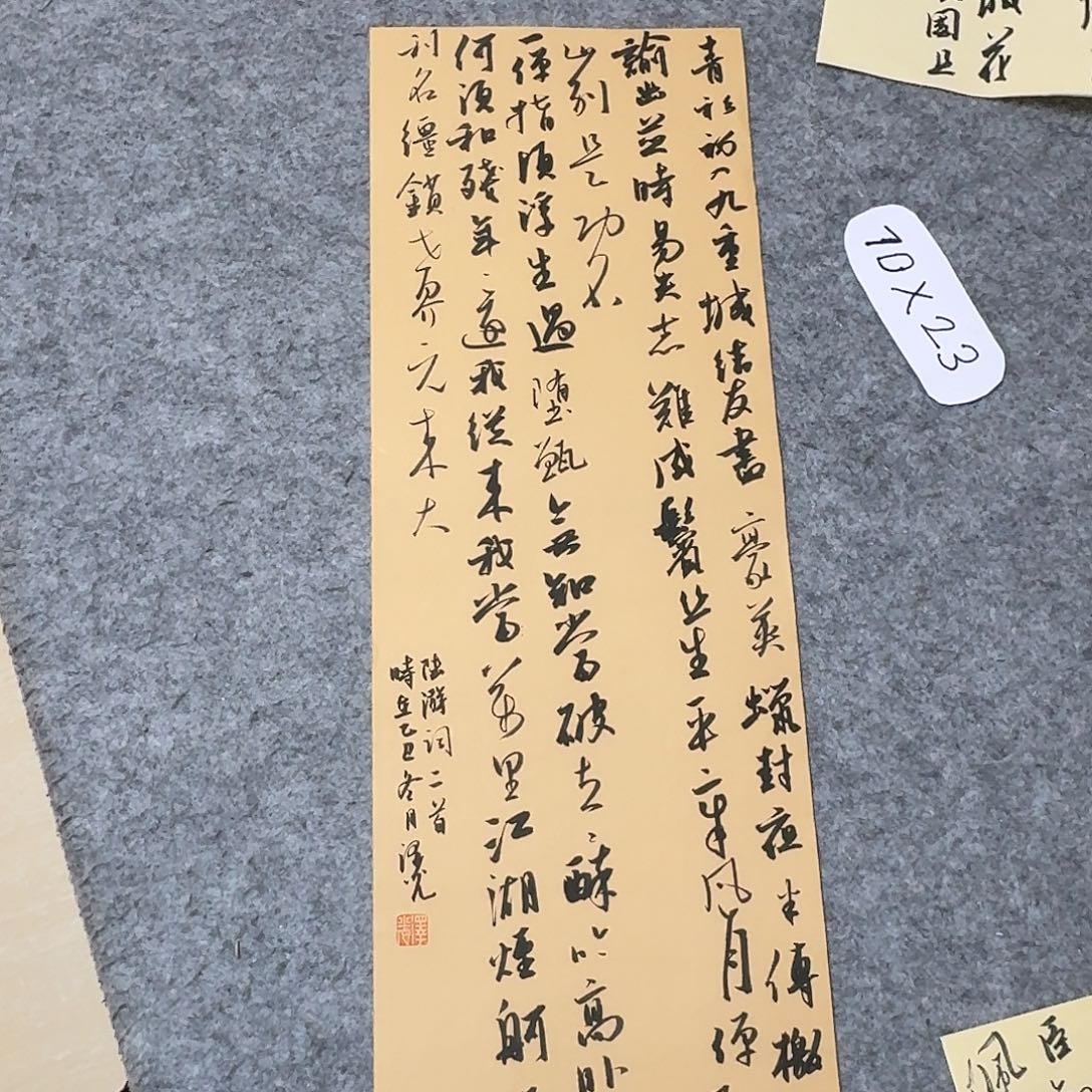书法国展书家廖老师70×25