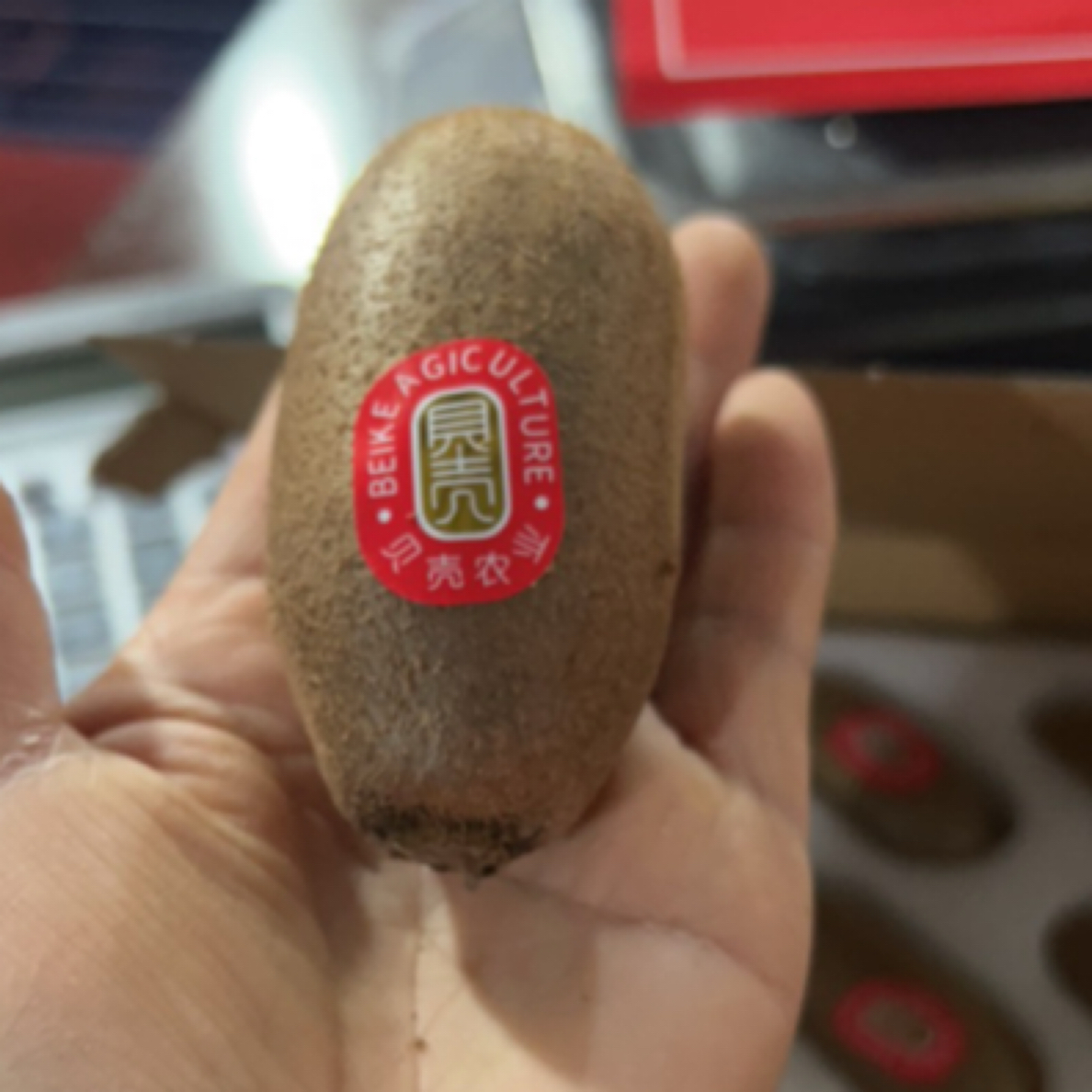 贝壳农业猕猴桃1箱