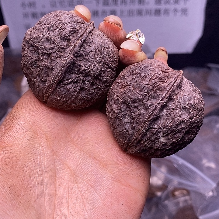 核桃云南野生铁核桃181号44mm