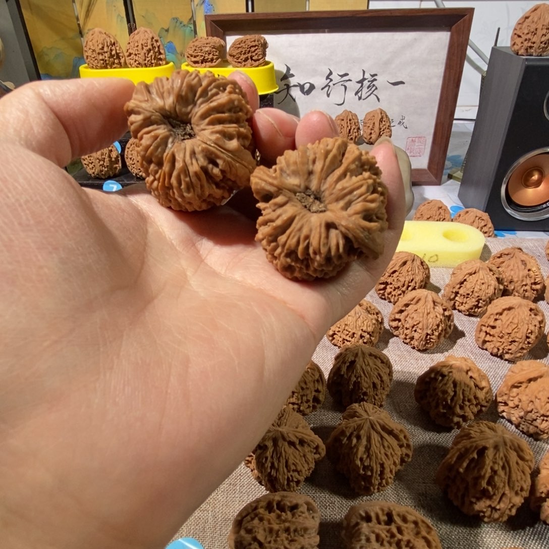 木质类奥迪的木塞的底