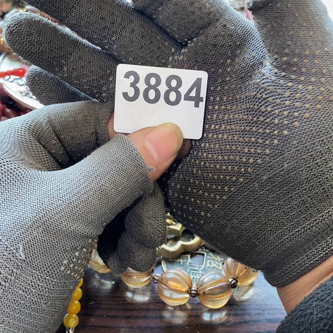 猫****光明的未来是一个3884