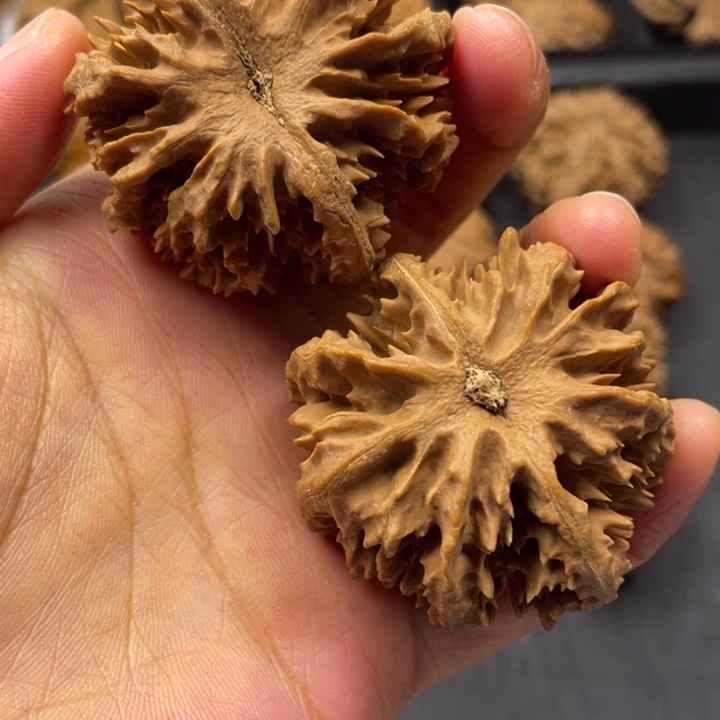 吊坠文玩核桃突突突突突突突