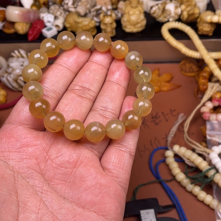 驼骨其他人工养殖