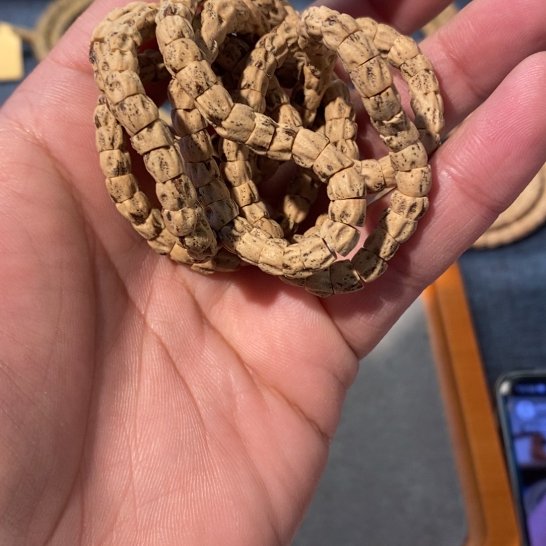 热振柏香籽微红牙斜切干净鬼肠108一条