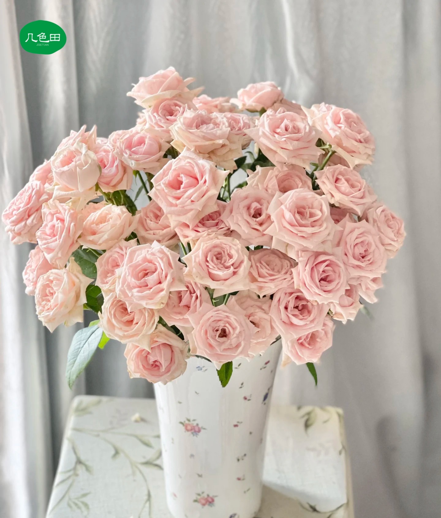 蜜桃千层----多头玫瑰云南直发鲜花