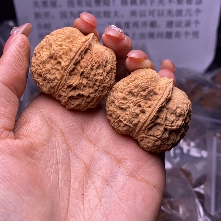 核桃云南野生铁核桃119