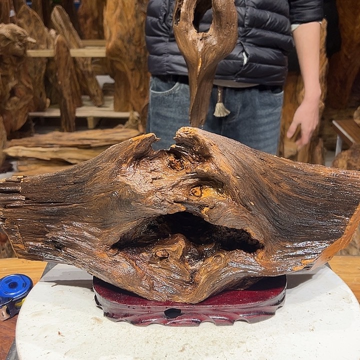 松木（琥珀木）智*