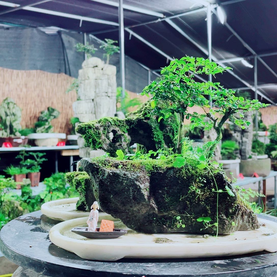 用***9无花朵我们是有共同点才认识