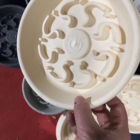 树脂托180米黄10个