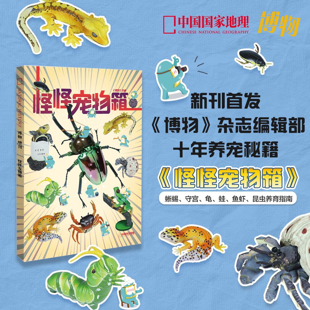 中国国家地理《怪怪宠物箱》博物杂志2025年增刊杂志社直营