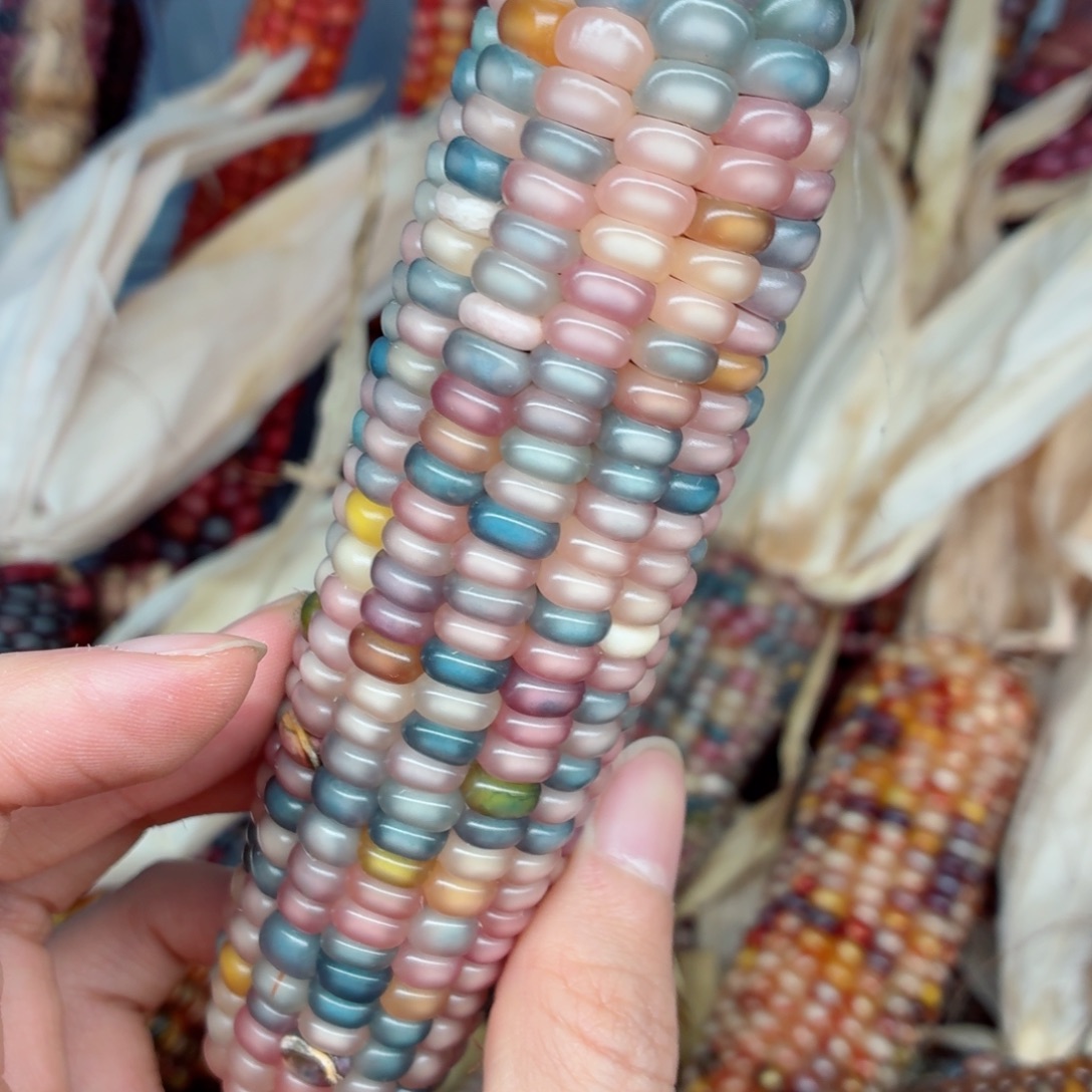 李***】白玉菩提吊坠文玩精品文玩精品