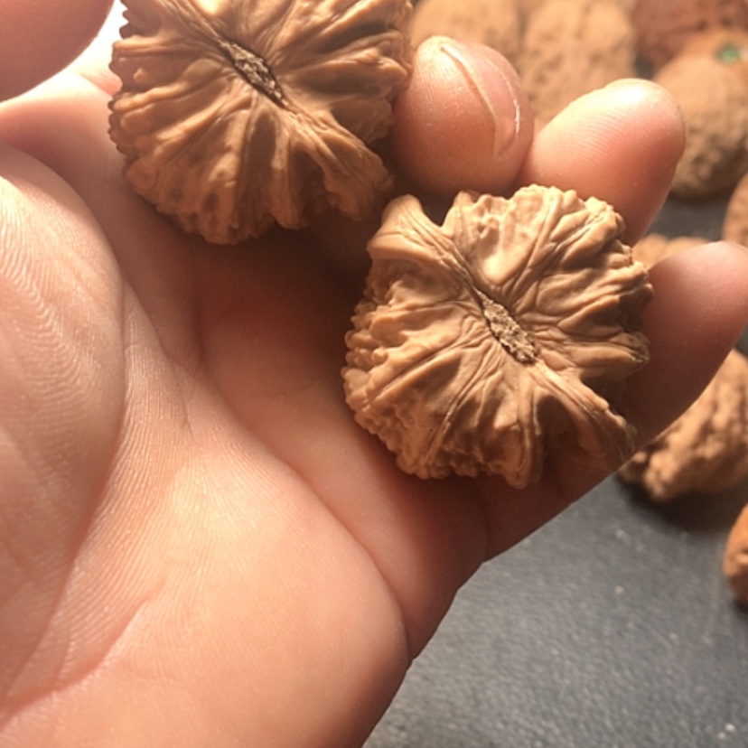 【闪购商品】●***环白狮子