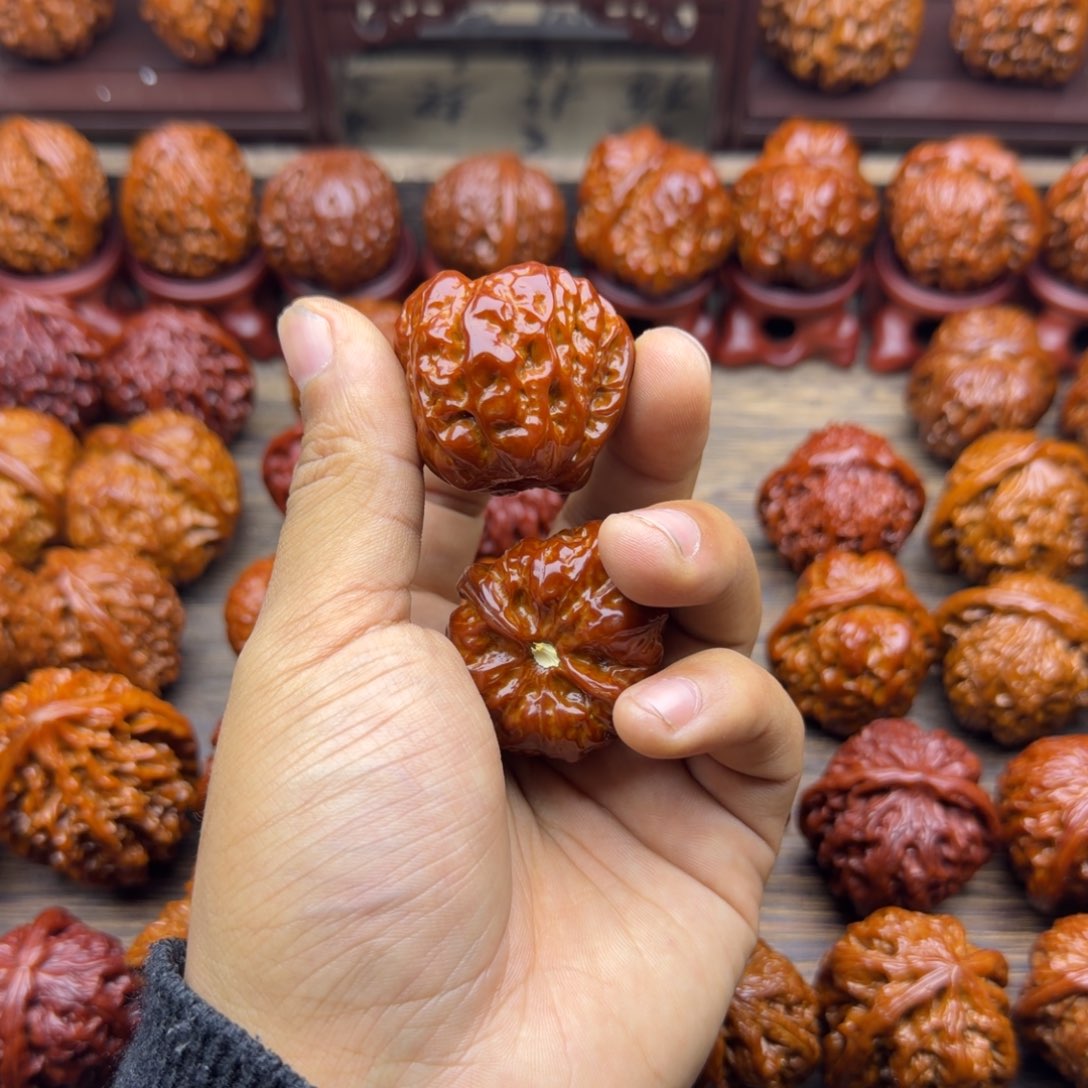 .***车菩提籽类蛤蟆头宝贝宝贝