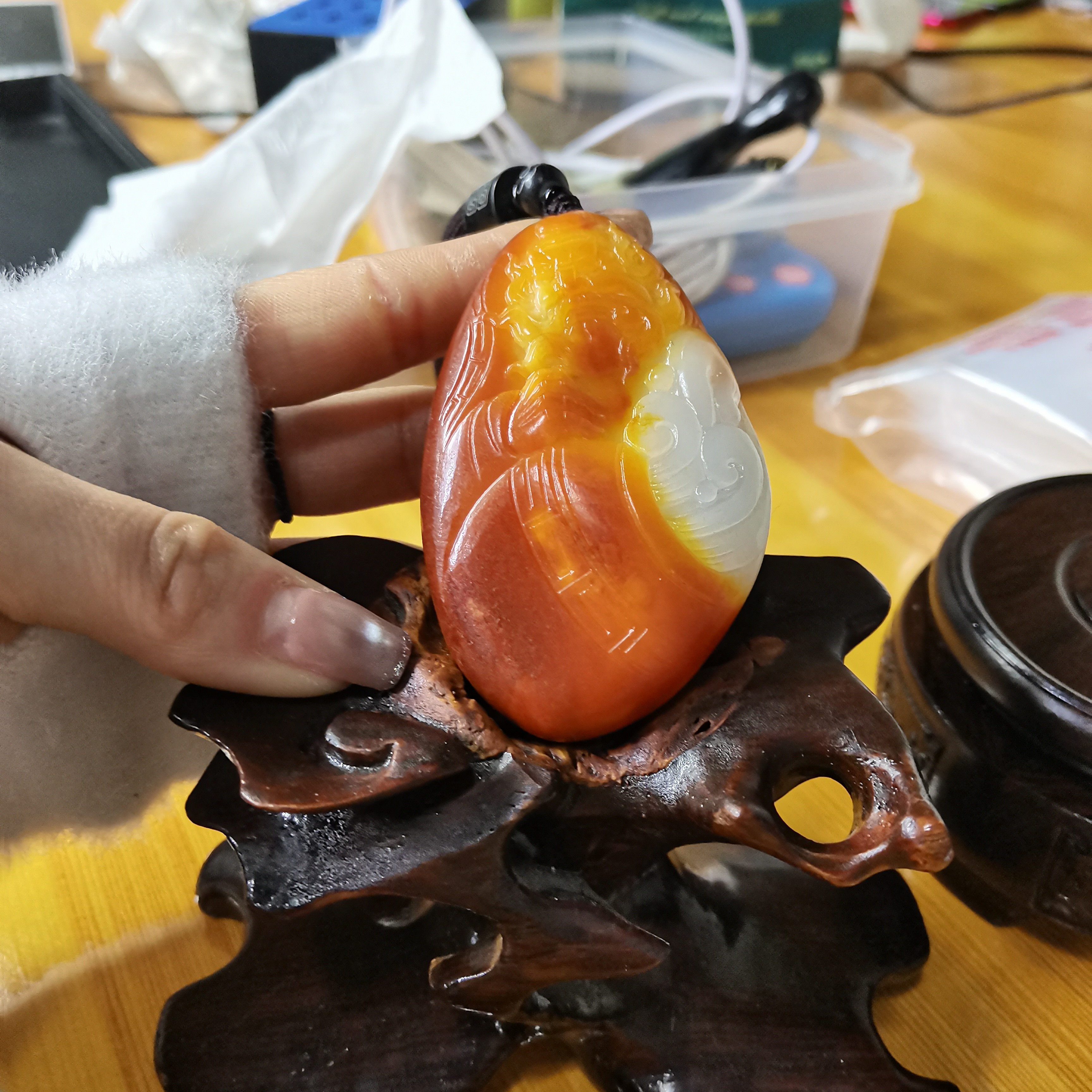 石包多样性拍一发一12月26日 A7