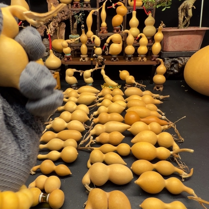 大叶紫檀（黑酸枝木类）