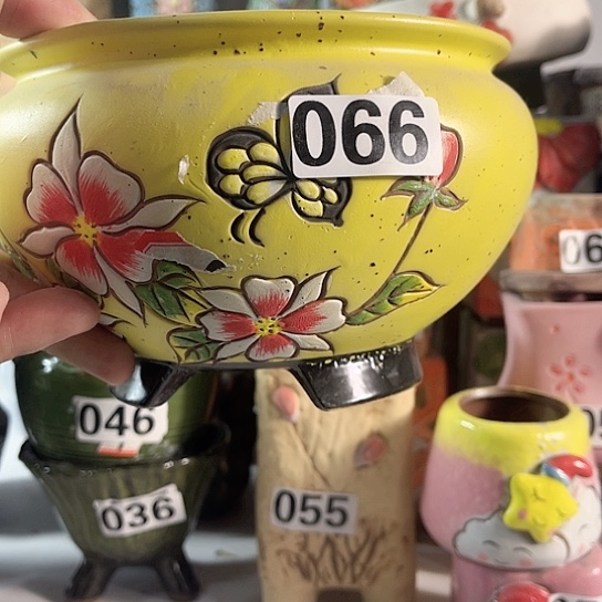 红陶多肉植物花盆