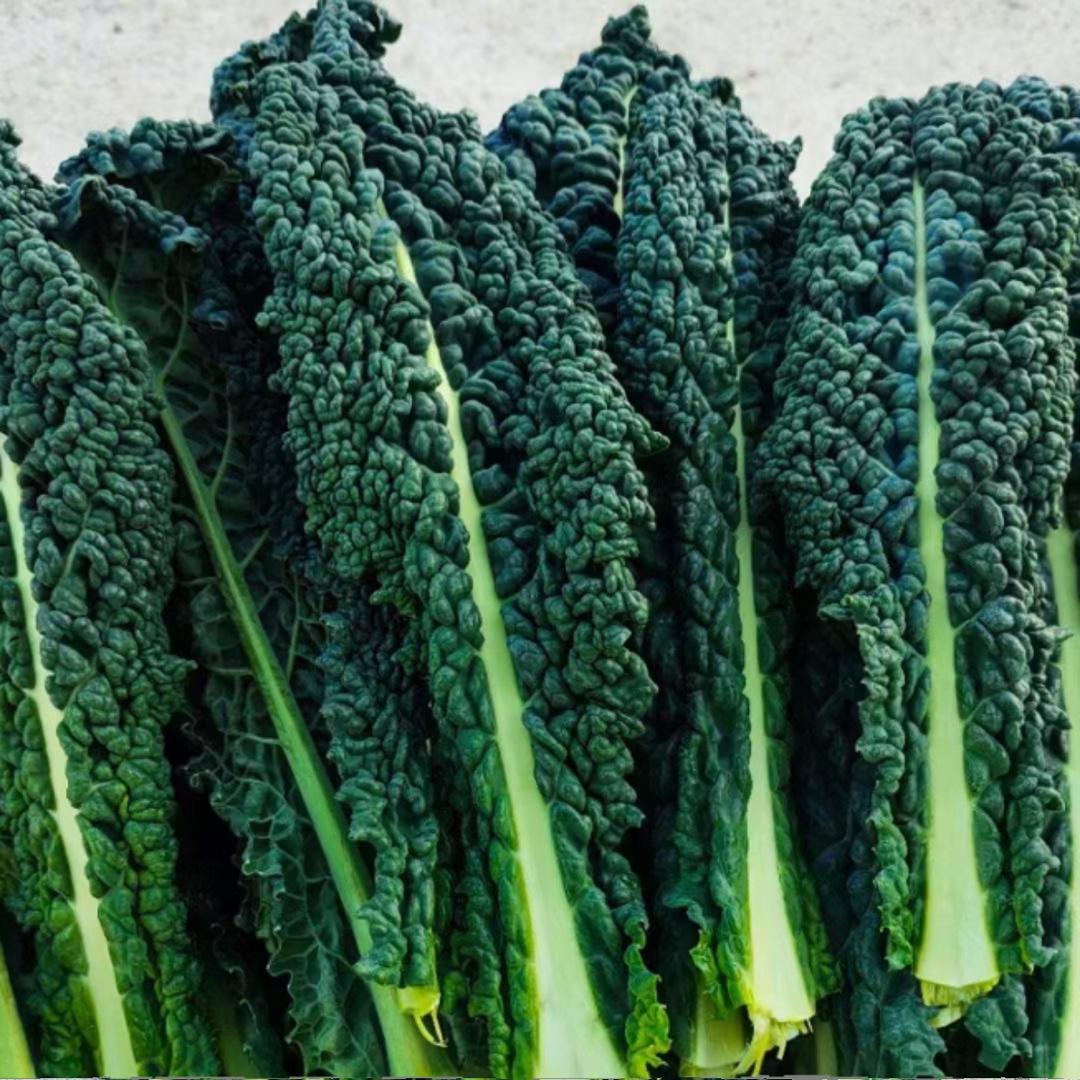 【新鲜邹叶菜】湖南当季现摘农家露天新鲜脆嫩邹叶菜时令蔬菜