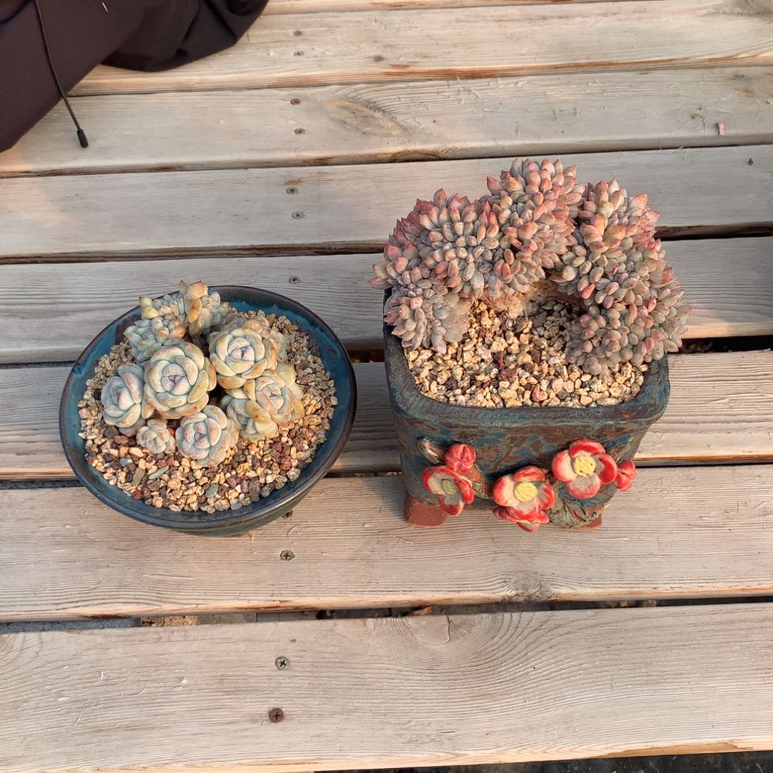 补差价钱一物一拍