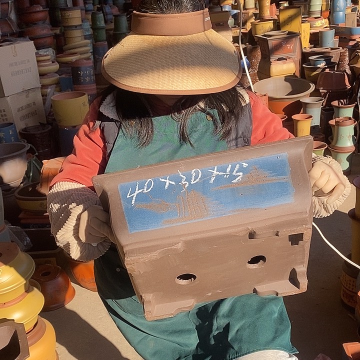 紫砂花盆盆栽花卉苗木种植