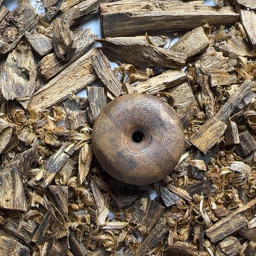 沉香沉香碎屑平安扣