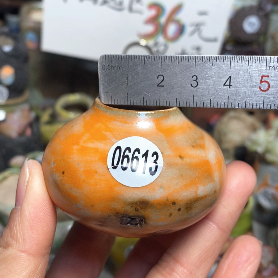 花盆拍5送一个小礼物