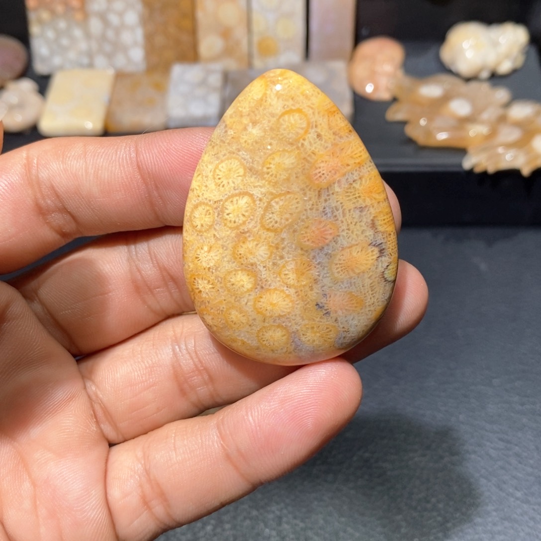 【闪购商品】硅化玉颈饰未镶嵌