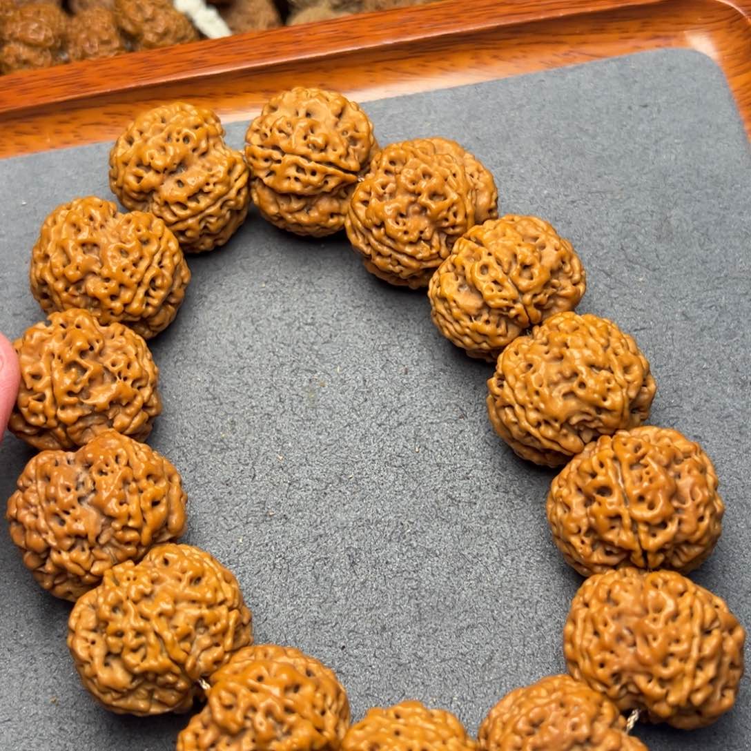 菩提23号尼泊尔大金刚26原生态梅花蜂窝