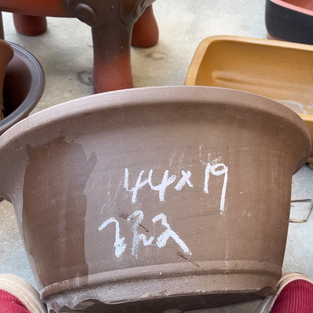 紫砂花盆盆景艺术