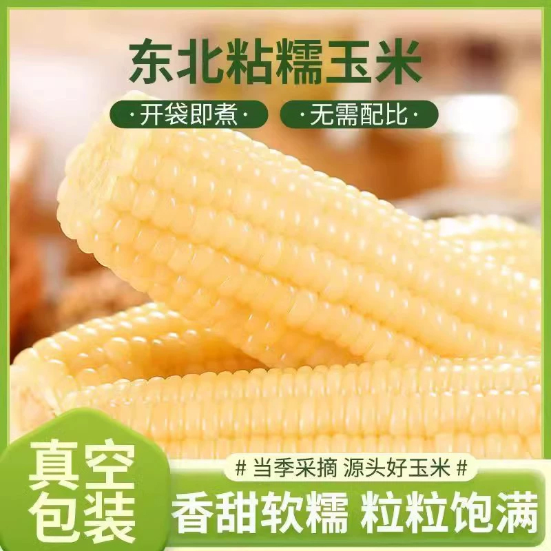 东北白糯玉米真空装新货现摘农家自种新鲜甜糯玉米棒速食粗粮