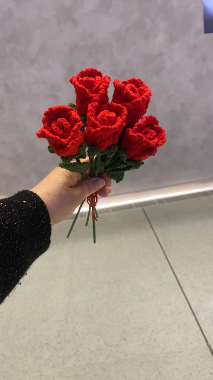 红色洛神玫瑰十枝花花束