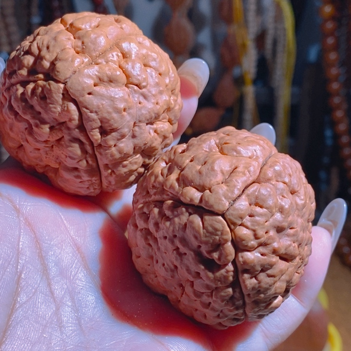 水***游野生三瓣脑纹大金刚