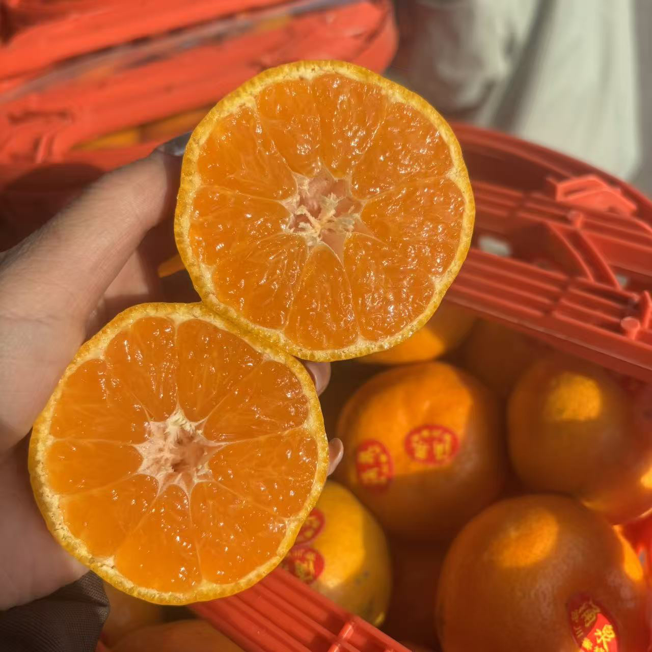 浙江临海涌泉爆橘 皮薄多汁果肉细腻 不打蜡皮微皱