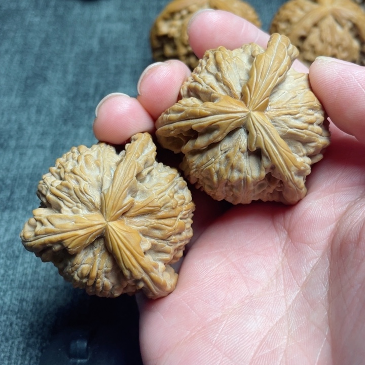 工艺三棱白狮子三棱