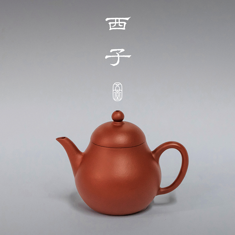 五堂江南 西子紫砂壶 朱泥 75cc