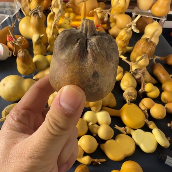 毛***羿绒面在创客空间和更丰富的地方