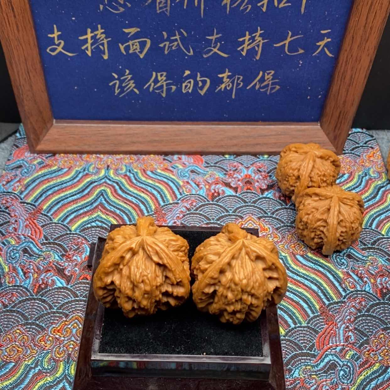 【闪购商品】老**儿白狮