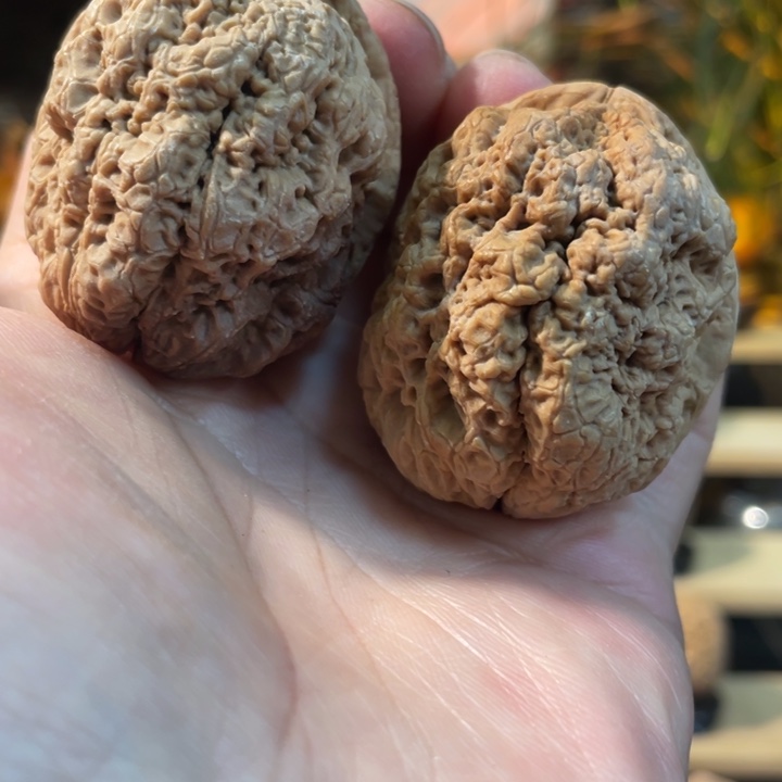 文玩核桃把件编号29