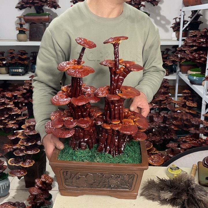 用****02658888888888