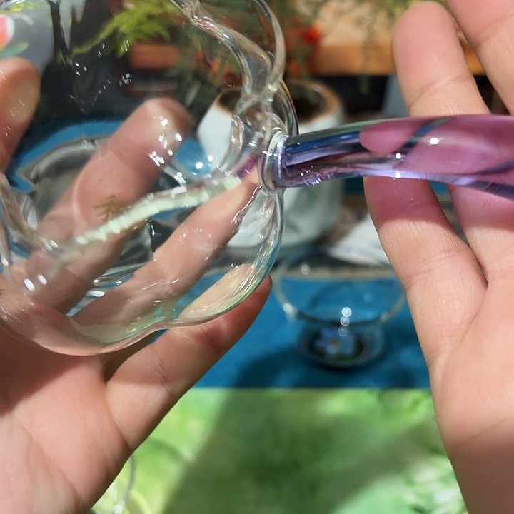 无盖款高硼硅玻璃纳福侧把