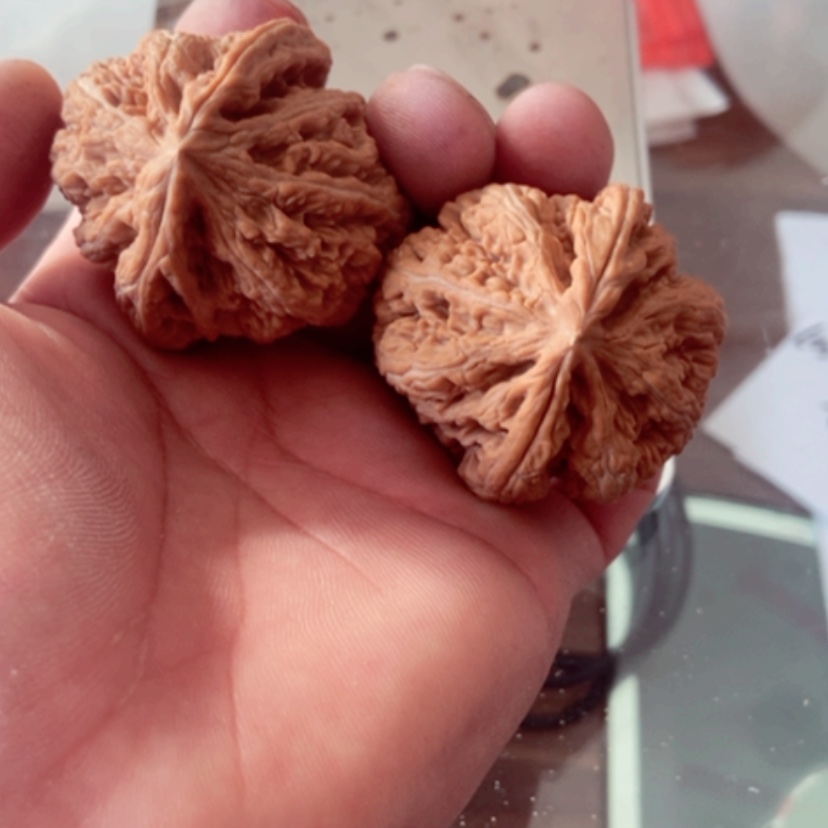 【闪购商品】t****?45尺寸全品无修大粗筋