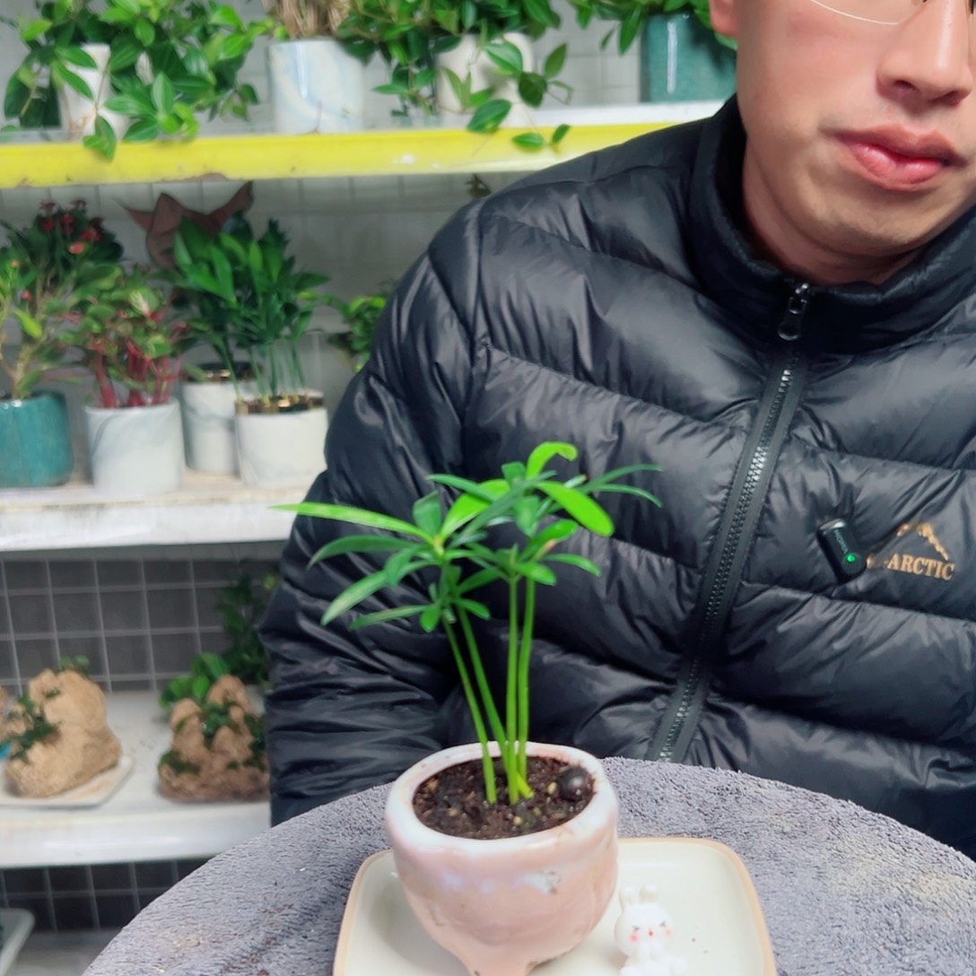 一***柚无花朵13                  