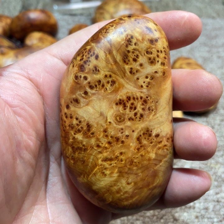 其他柏木（崖柏）把