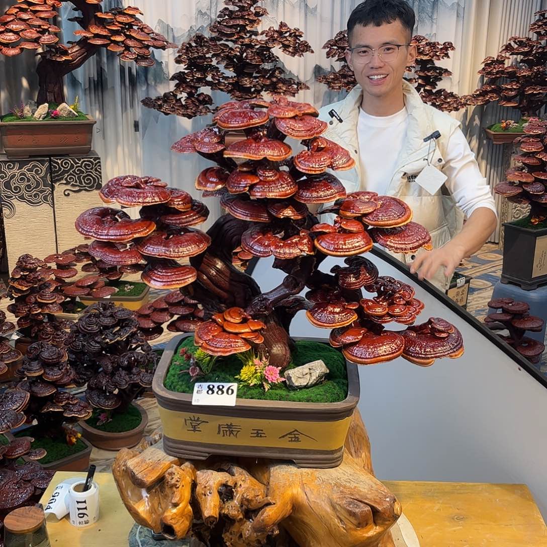 无花朵888888888888